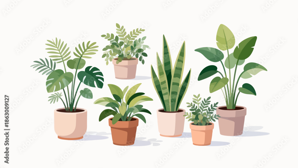 Fototapeta premium Potted plants collection