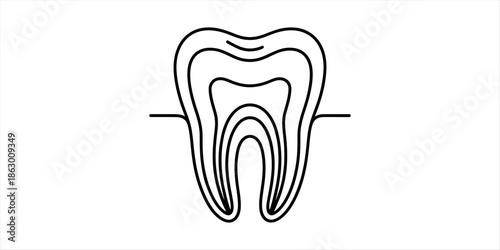 Diagram showing the cross-section of a human tooth Vector, illustration