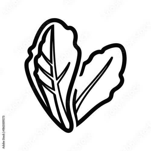 Black and white illustration of spinach leaves