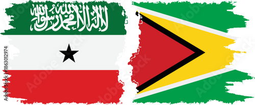 Guyana and Somaliland grunge flags connection, vector