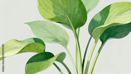 Watercolor painting of green plant leaves