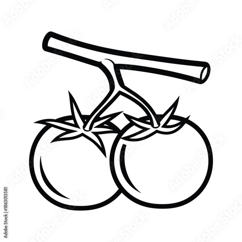 Two tomatoes on vine illustration