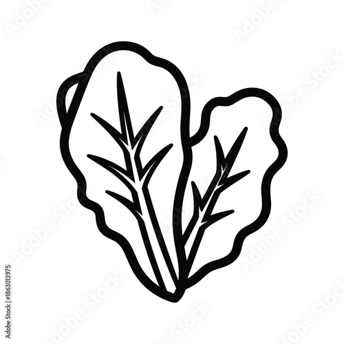 Simple line drawing of spinach leaves