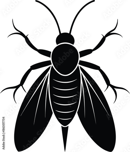 vector illustration of a black beetle
