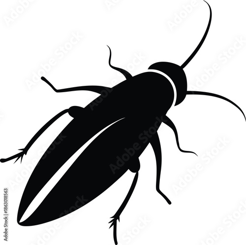 black and white beetle