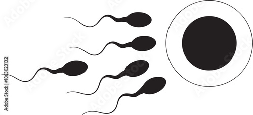 Sperm cells approaching an egg for fertilization process illustration