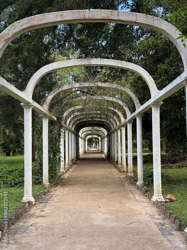Fotografia Jardim botanico do Rio de Janeiro com carramanchão para plantas