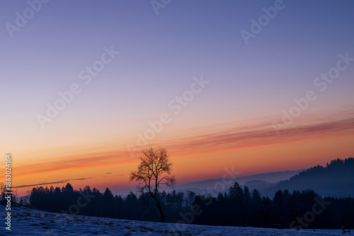 Early morning. Snow covered landscape in austria with a single tree in the sunrise.