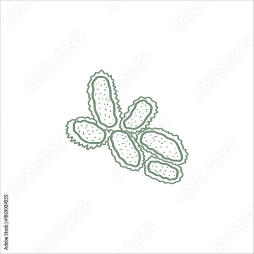 bacterial structure hand drawn illustration artwork