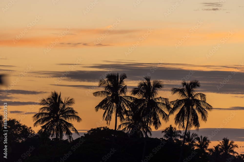 Fototapeta premium Palm Tree Silhouettes at Dusk in Sri Lanka