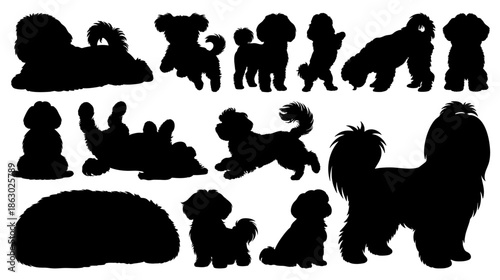 Cute Shih Tzu Dog Silhouette Set in Various Poses Isolated on Transparent Background