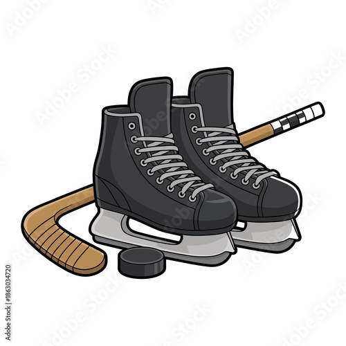 Ice hockey equipment
