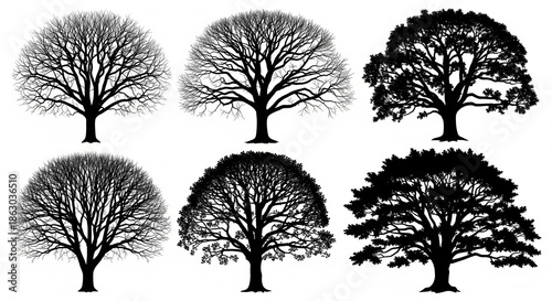 Artistic detailed tree silhouette vector pack with natural forest shapes