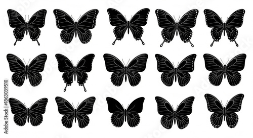 Artistic butterfly silhouette vector set with elegant wing shapes