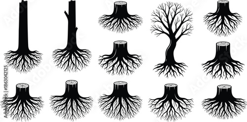 Skiing and Snowboarding Vector Silhouette Set Featuring Winter Sports Equipment Skis Snowboards Helmets Goggles Cold Weather Gear and Mountain Activities