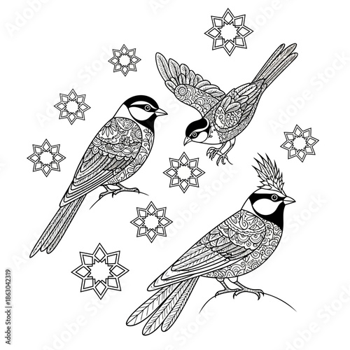 Intricate black and white illustration of three decorative birds with geometric patterns and ornamental stars on a white background, suitable for coloring pages