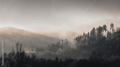Moosy landscape in winter with a dramatic sky