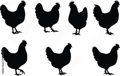 Complete collection of hen silhouettes featuring various poses of chickens for poultry farming agriculture organic food branding and rural life designs