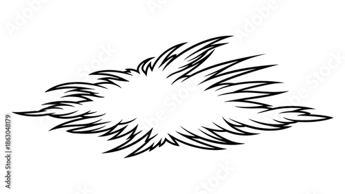 Black feather illustration on white background