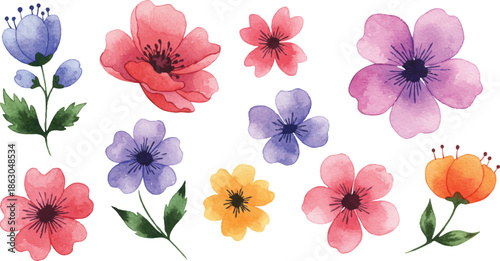 A vibrant collection of watercolor flowers in various colors and sizes