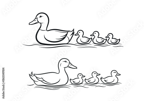Mother duck swimming with her ducklings in a row