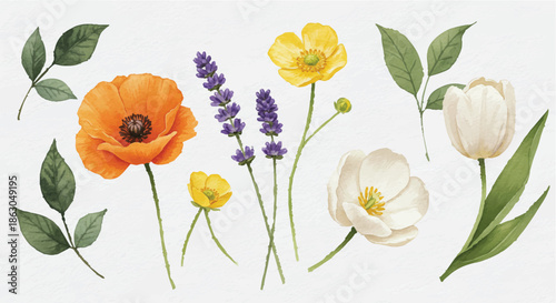 A serene arrangement of flowers and leaves on a clean white background viewed from directly above
