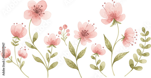 Delicate pink flowers and lush green leaves arrangement on a white background