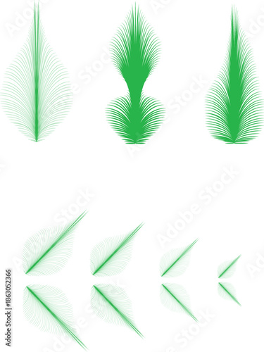 Vector illustration of a green leaf set featuring spring nature foliage and floral garden branch patterns for summer plant decoration growth