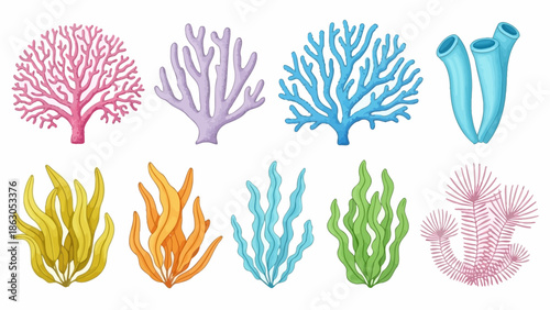 Colorful assortment of cartoon underwater plants and corals marine ecosystem concept
