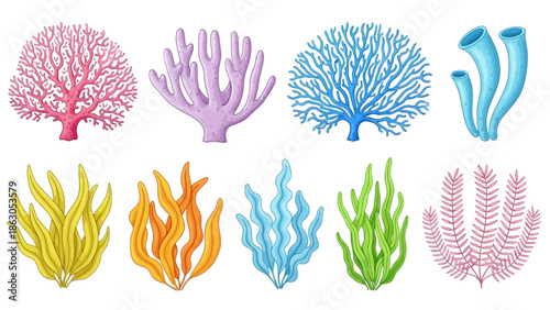 Diverse collection of colorful coral reef elements isolated on white background