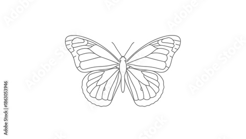 Simple line drawing of a butterfly with spread wings