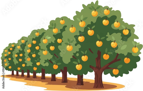 An orchard of many trees, each laden with ripe, golden fruit, stretches into the distance