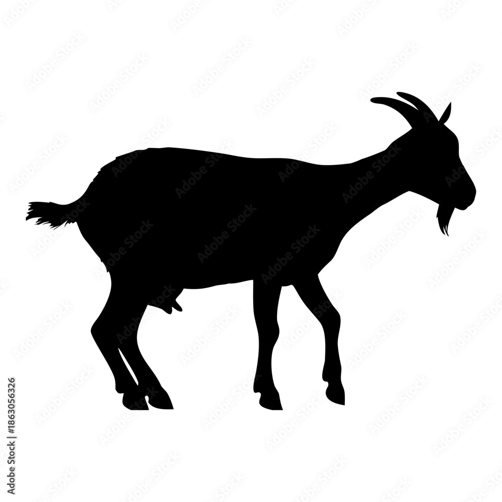 Fototapeta premium Silhouette goat