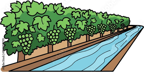 An illustrative vineyard scene with rows of green grapevines bearing fruit, alongside a flowing river