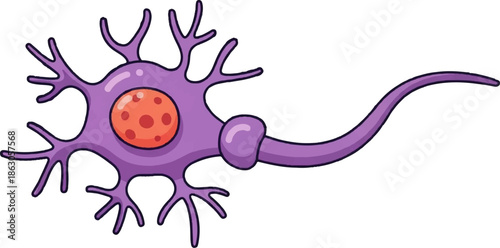 Cartoon-style neuron with purple cell body, dendrites, axon, and a reddish-orange nucleus on white