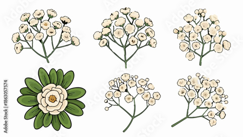 Delicate white wildflowers and a single lush green-leafed bloom