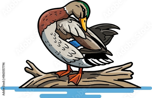 Detailed cartoon mallard duck preening on a log above blue water, isolated on white background