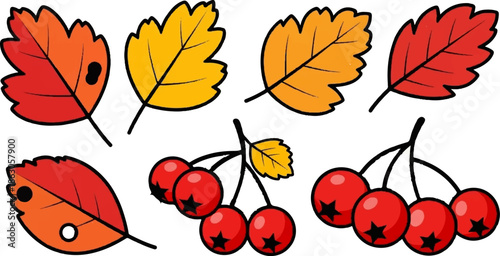 Colorful autumn leaves and berries, a vibrant seasonal depiction