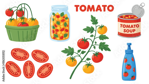 Colorful vector art showing fresh red and yellow tomato branch with basket, sliced tomatoes, canned tomato soup and blue bottle with tomato pattern
