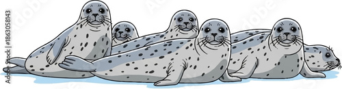 An illustration of a group of six spotted seals with various grey tones on a light blue ground