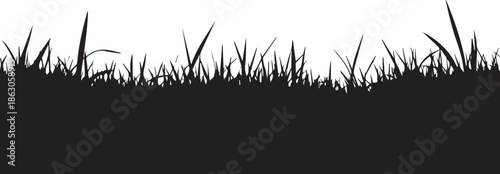 Silhouette of grass