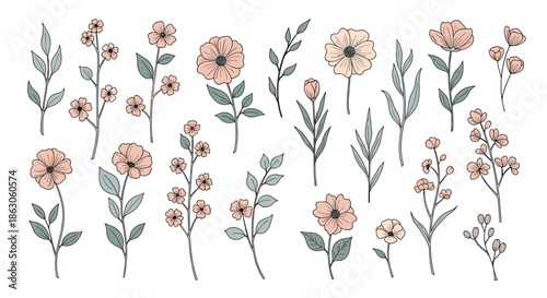 Set of hand-drawn delicate floral stems and branches with soft pink blossoms and muted green leaves on white background.
