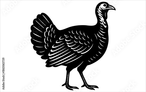 A black silhouette of a turkey birds with a white background. holiday turkey birds