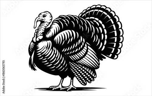 A black and white vector illustration of a turkey birds. silhouette turkey birds