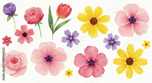 A collection of colorful flowers and blooms displayed on a white background