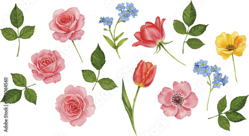 A collection of assorted flowers and leaves arranged on a plain white background