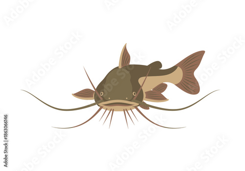 A brown catfish with long whiskers swims forward.