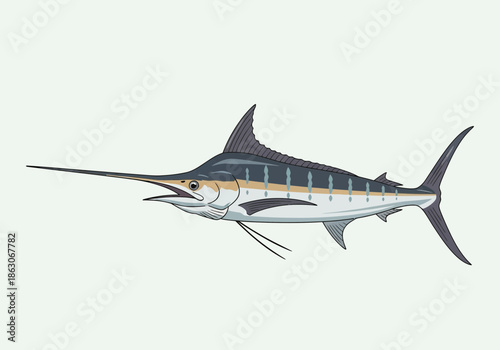 A marlin fish with a long bill and dark fins swims.