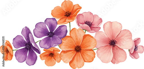 Vibrant flowers arranged in a colorful display on a clean white background.