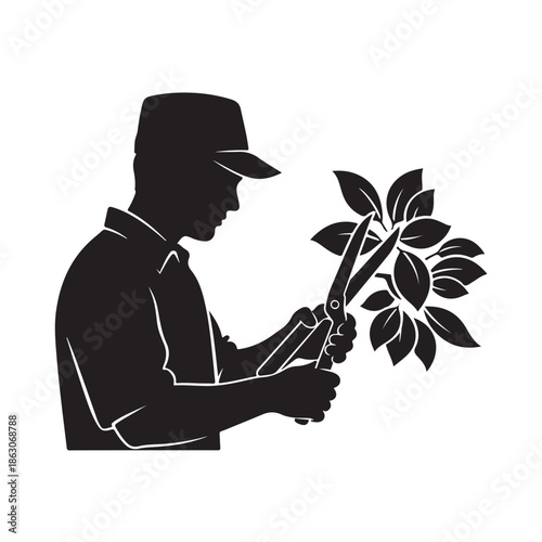 Gardener pruning plants in silhouette with scissors in warm soft lighting for gardening illustration